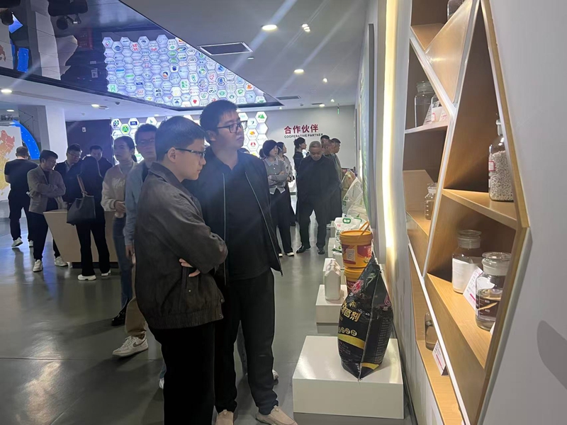 圖為:宜昌枝江市園區(qū)建設