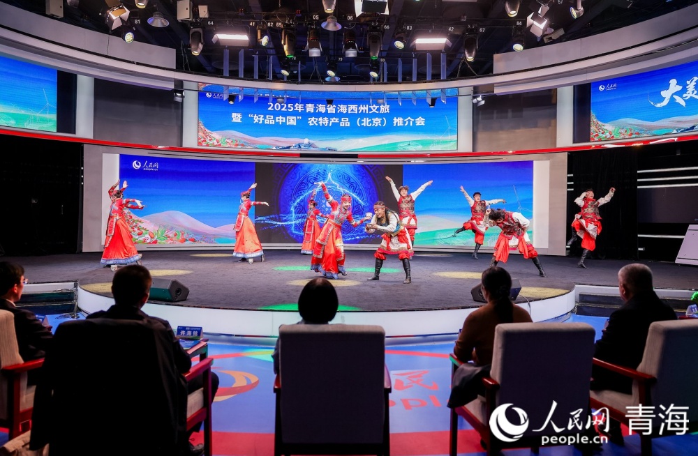 推介會現場。人民網記者 況玉攝