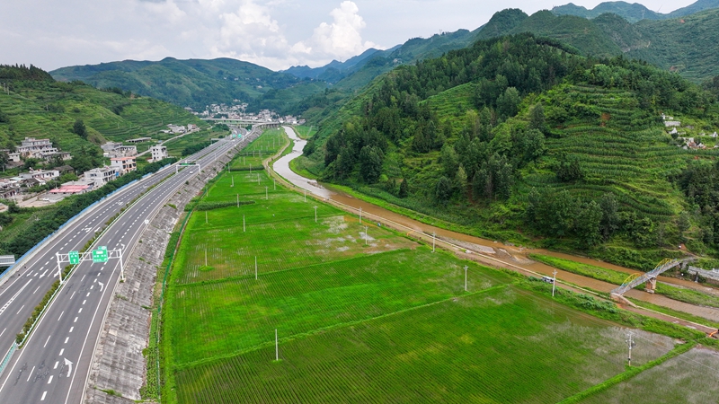 三岔河流經的爐山鎮公賢社區，河道治理后，曾經的灘涂地通過“旱改水”建成高標準水田成為一道風景。趙慶能攝