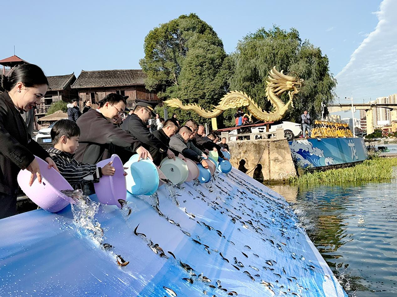 77萬(wàn)余尾優(yōu)質(zhì)魚苗順利投入錦江河。