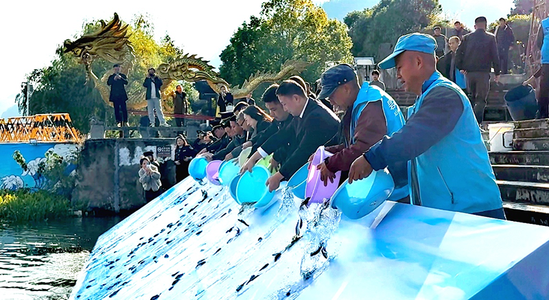 77萬余尾優(yōu)質(zhì)魚苗順利投入錦江河。