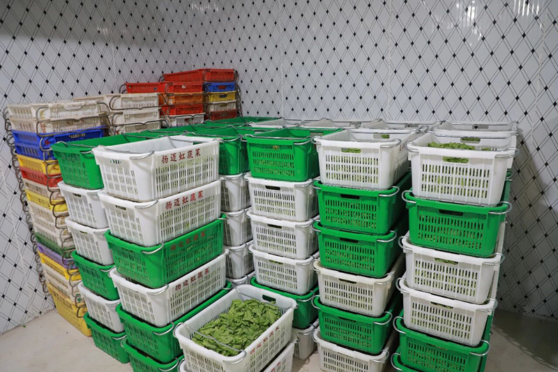 真空預冷設備保障蔬菜新鮮度。