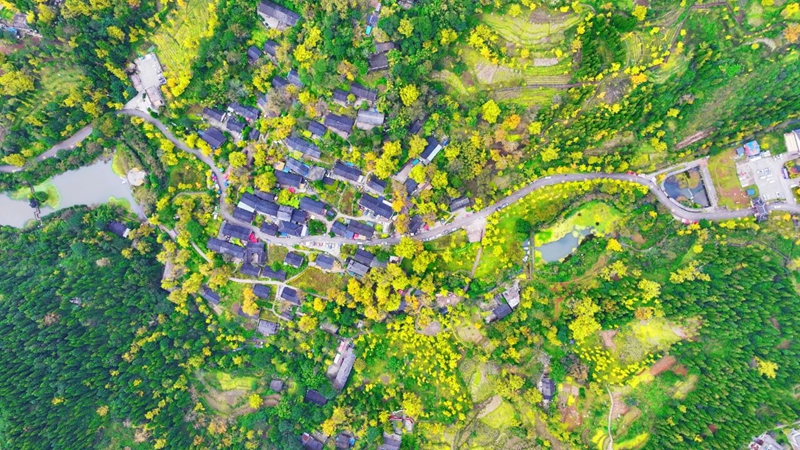 1 圖為省道317沿線風景.jpg