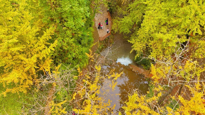 2 圖為省道317沿線風景.jpg