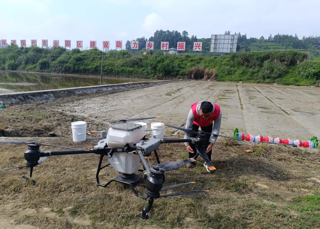 貴州岑鞏水稻制種科技小院學生實習基地。