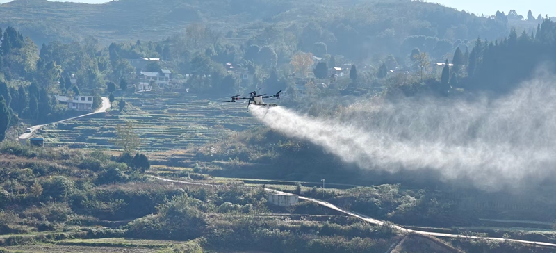 圖為:現場演示無人機噴灑農藥 (胡曉嫻 攝)