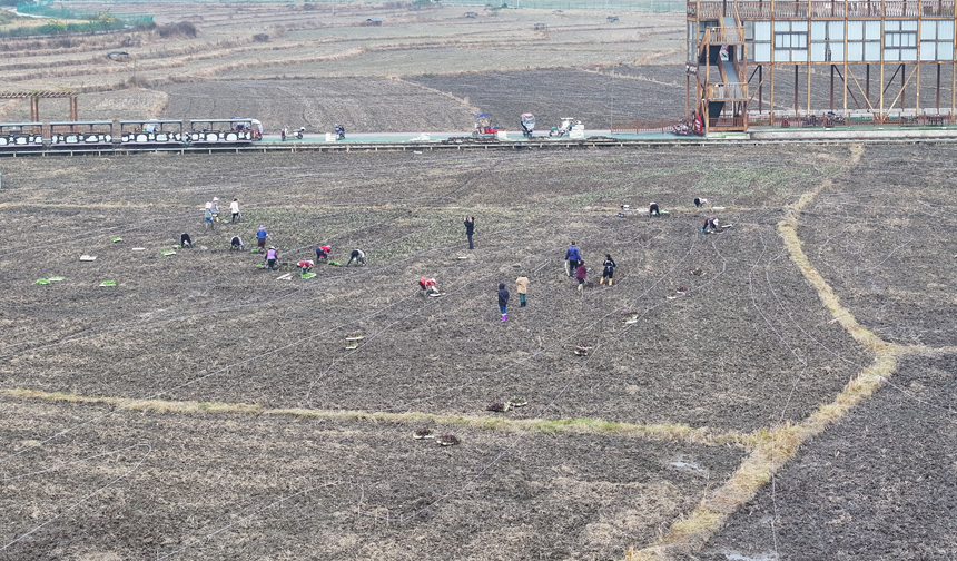 昊禹?稻花鄉里。