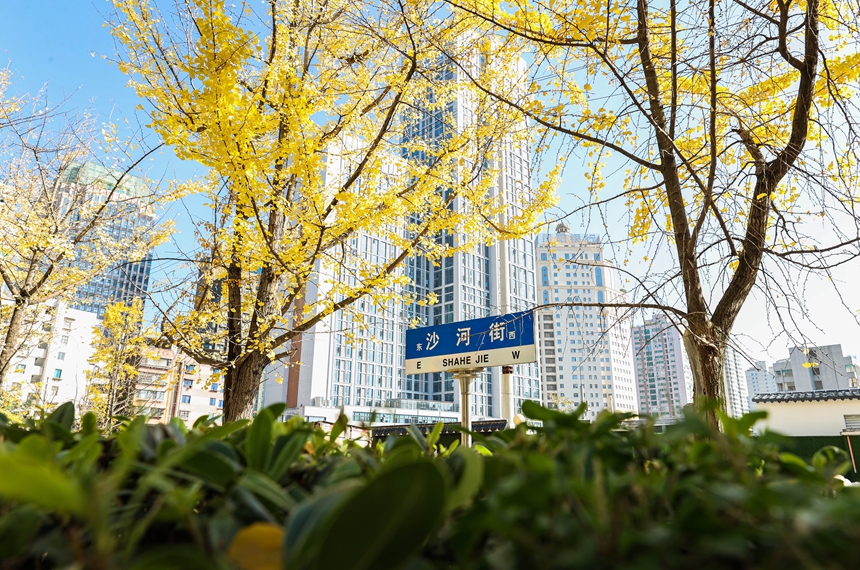 沙河街一角。