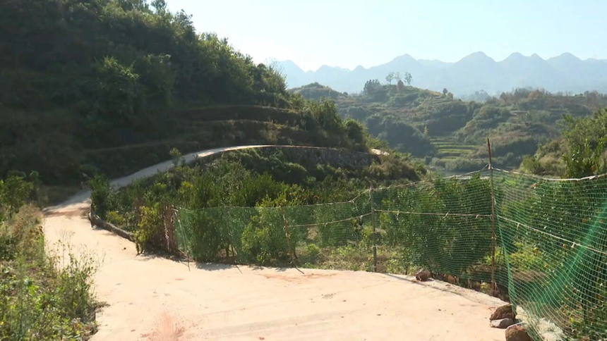 圖為那兌村通過積極申請項(xiàng)目支持，對村內(nèi)近1 公里的產(chǎn)業(yè)路進(jìn)行了硬化升級。