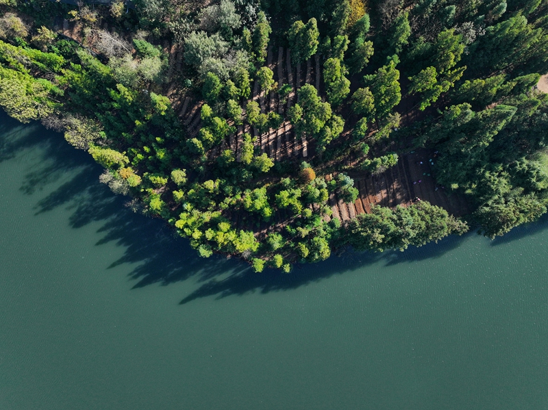 11月25日，七星關區文閣鄉毛栗水庫碧波蕩漾，景色如畫。