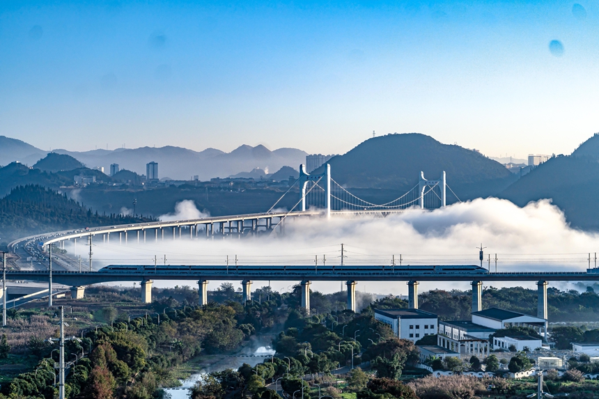 列車與金州大橋同框。龍建睿攝