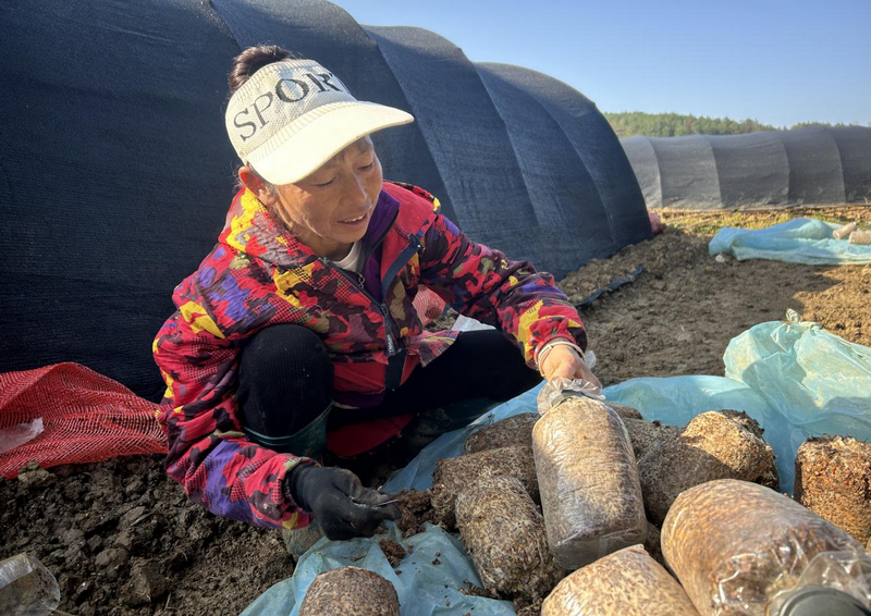種植現場。