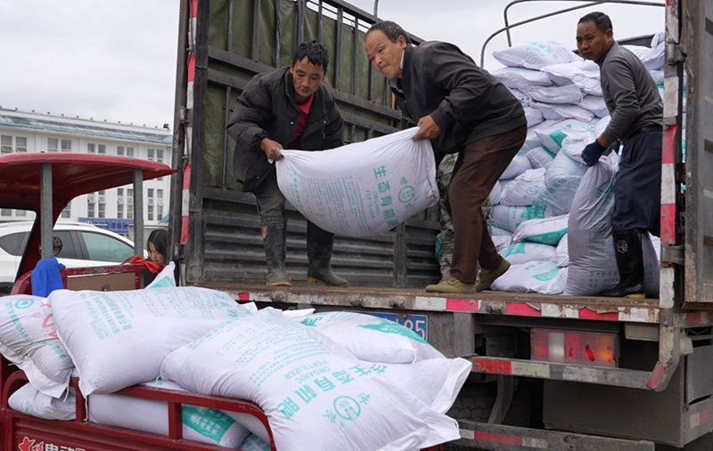 圖為土豆種子、有機肥分發現場。