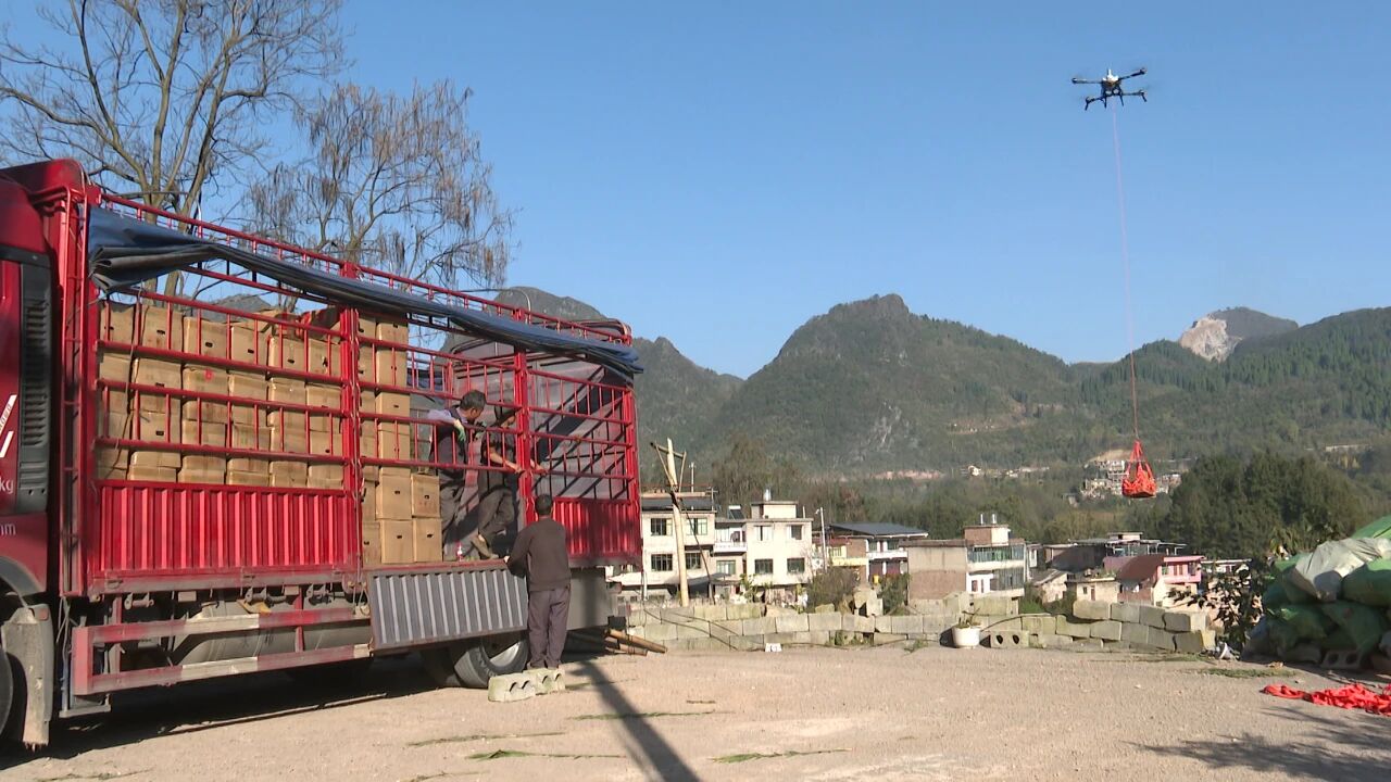 無人機運送生姜。