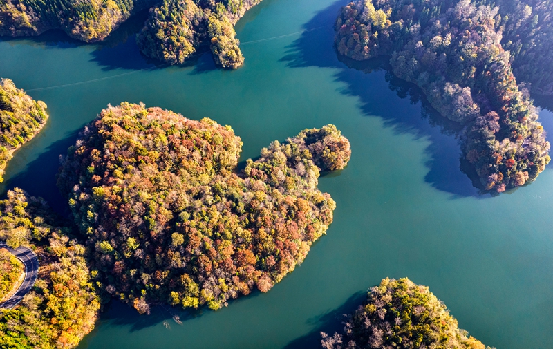 2025年11月28日拍攝的貴州省畢節市百里杜鵑管理區境內的百里杜鵑湖景區（無人機照片）。