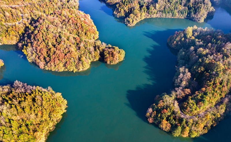 2025年11月28日拍攝的貴州省畢節市百里杜鵑管理區境內的百里杜鵑湖景區（無人機照片）。