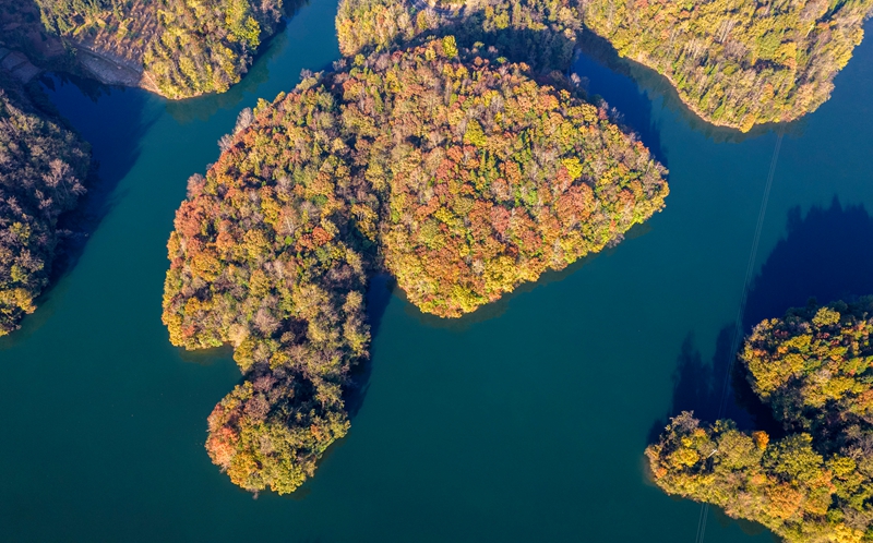 2025年11月28日拍攝的貴州省畢節(jié)市百里杜鵑管理區(qū)境內(nèi)的百里杜鵑湖景區(qū)（無人機(jī)照片）。