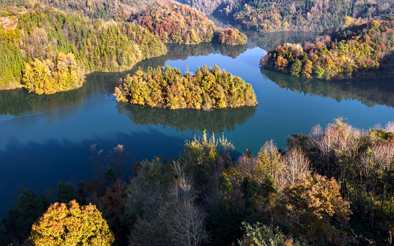 2025年11月28日拍攝的貴州省畢節市百里杜鵑管理區境內的百里杜鵑湖景區（無人機照片）。