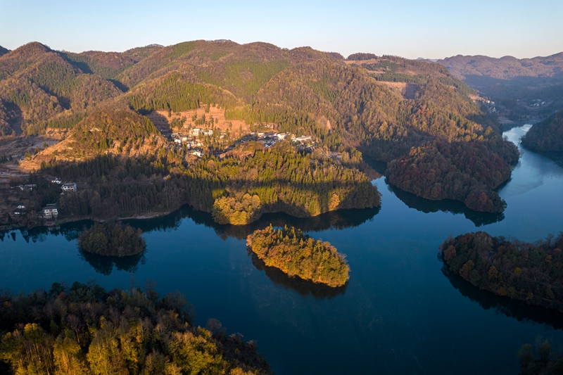 2025年11月28日拍攝的貴州省畢節市百里杜鵑管理區境內的百里杜鵑湖景區（無人機照片）。