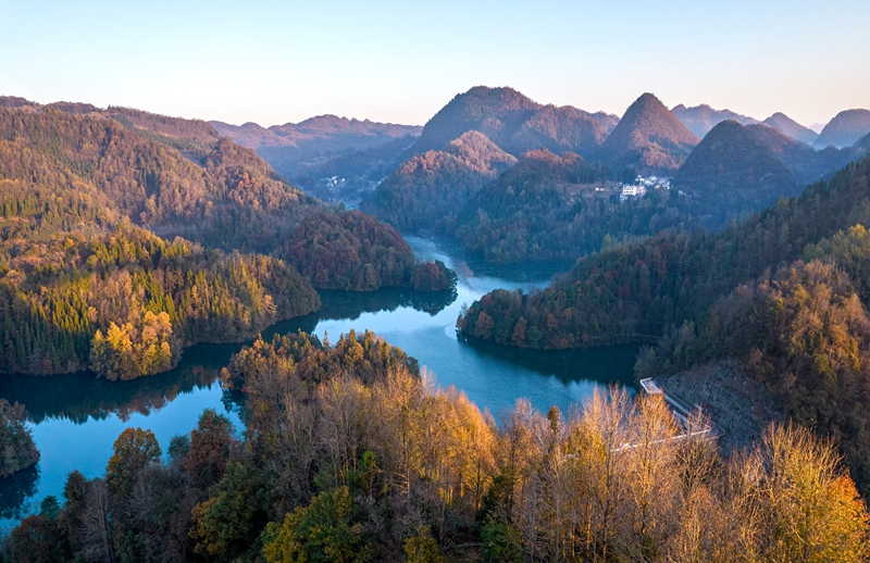 2025年11月28日拍攝的貴州省畢節市百里杜鵑管理區境內的百里杜鵑湖景區（無人機照片）。