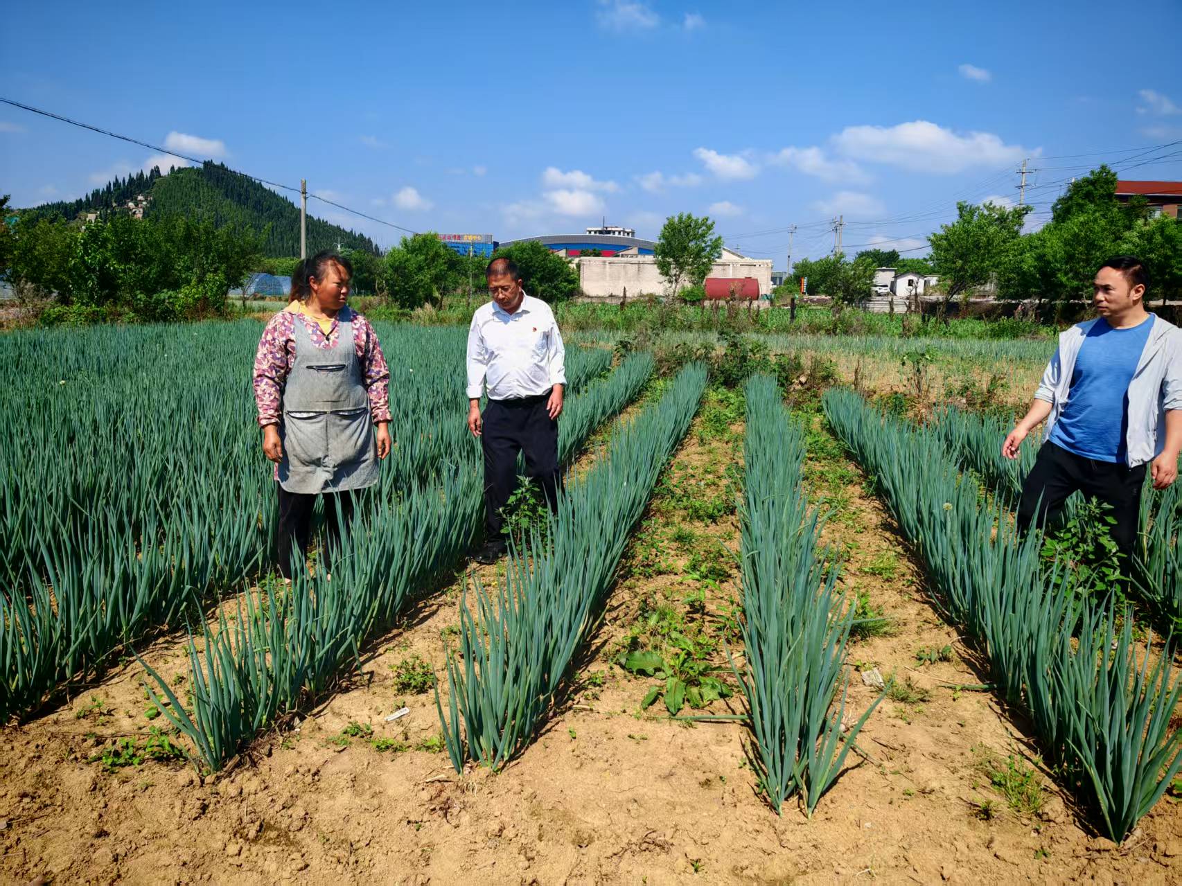 安順經開區和興村“土專家”合力破解鄉村振興難題。