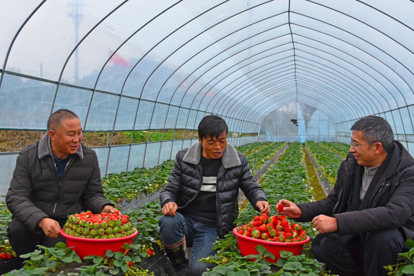 安順經(jīng)開區(qū)和興村“土專家”合力破解鄉(xiāng)村振興難題。