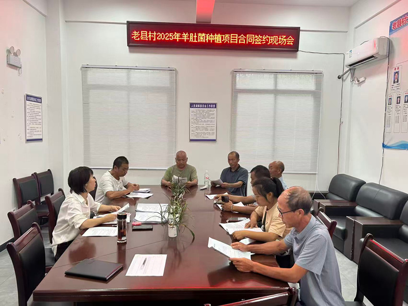 施秉縣馬號鎮(zhèn)老縣村羊肚菌合同簽約會。