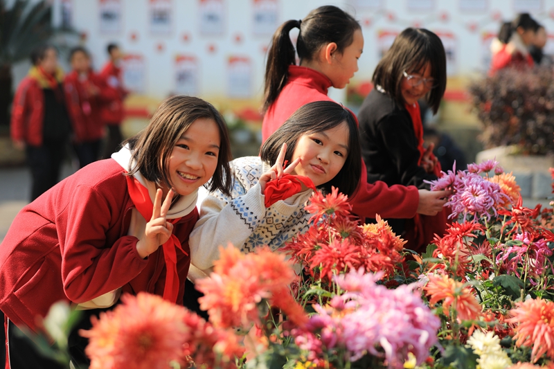 2025年12月1日，冬季的貴州省黔西市第一小學，校園里五顏六色的菊花競相綻放，吸引小朋友們駐足觀賞。