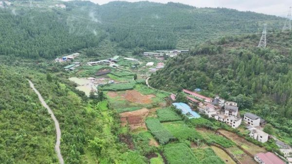 貴州松桃：機制創新推動肉牛產業強鏈增效。