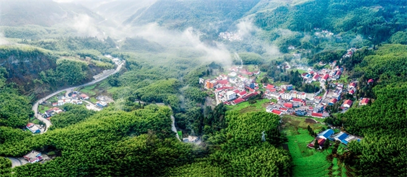 盤州市大洞竹海。肖本祥攝