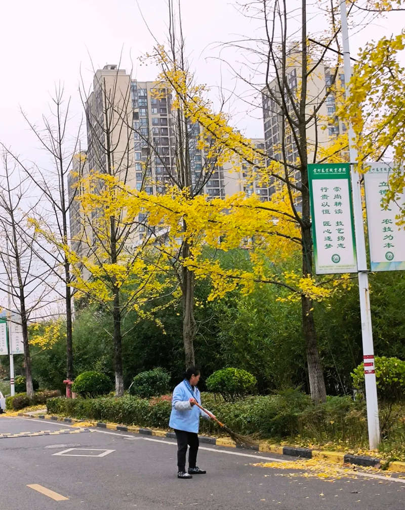 每一個人都在為農(nóng)職院的發(fā)展做出貢獻。潘燕攝