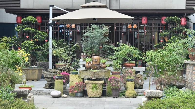 5 共建綠色宜居環境.jpg