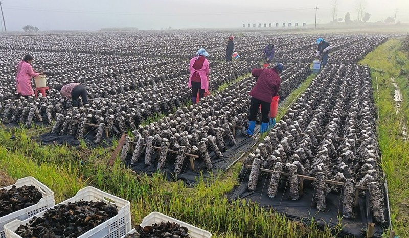 松桃縣普覺鎮(zhèn)黨建引領(lǐng)破解民生保障難題。