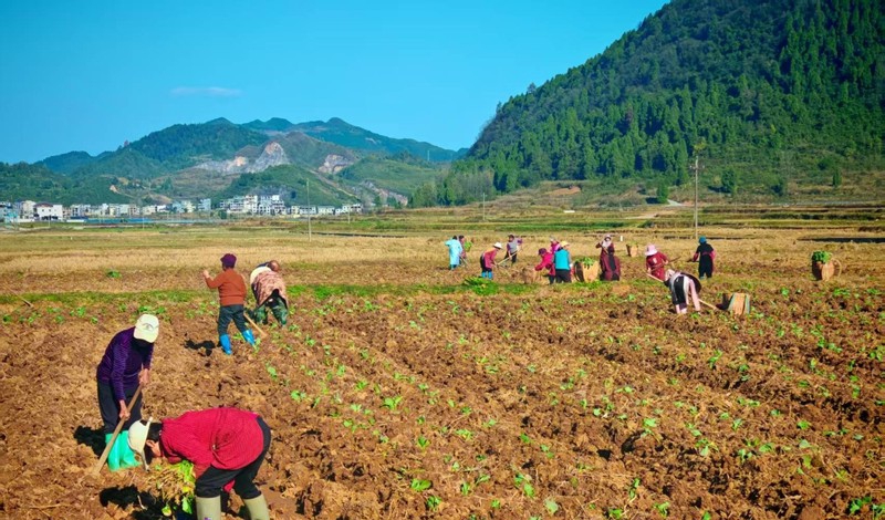 松桃縣普覺鎮(zhèn)黨建引領(lǐng)破解民生保障難題。