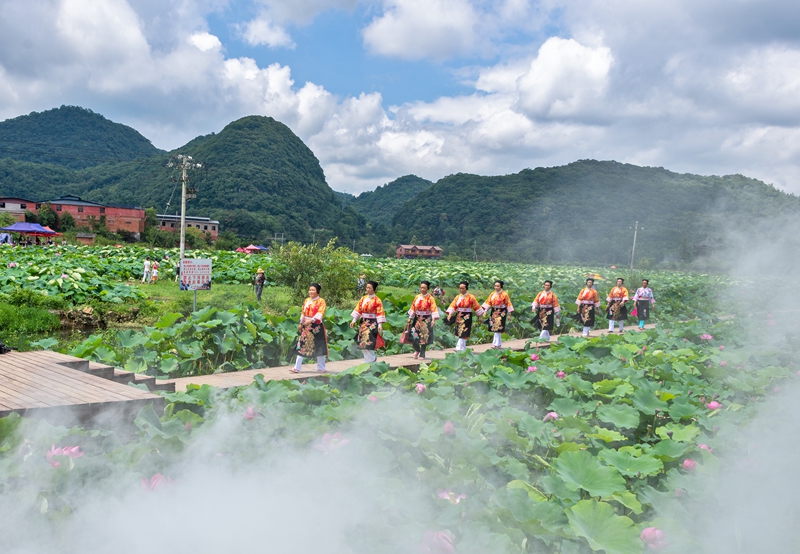 安順經開區羊場村十里荷廊。湯玲玲攝