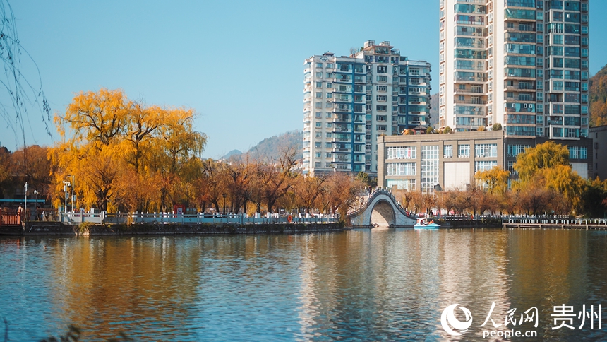 暖陽下的鳳池園公園一角。人民網(wǎng)記者 涂敏攝