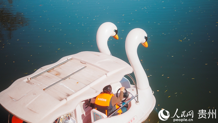 市民在公園內泛舟。人民網記者 涂敏攝