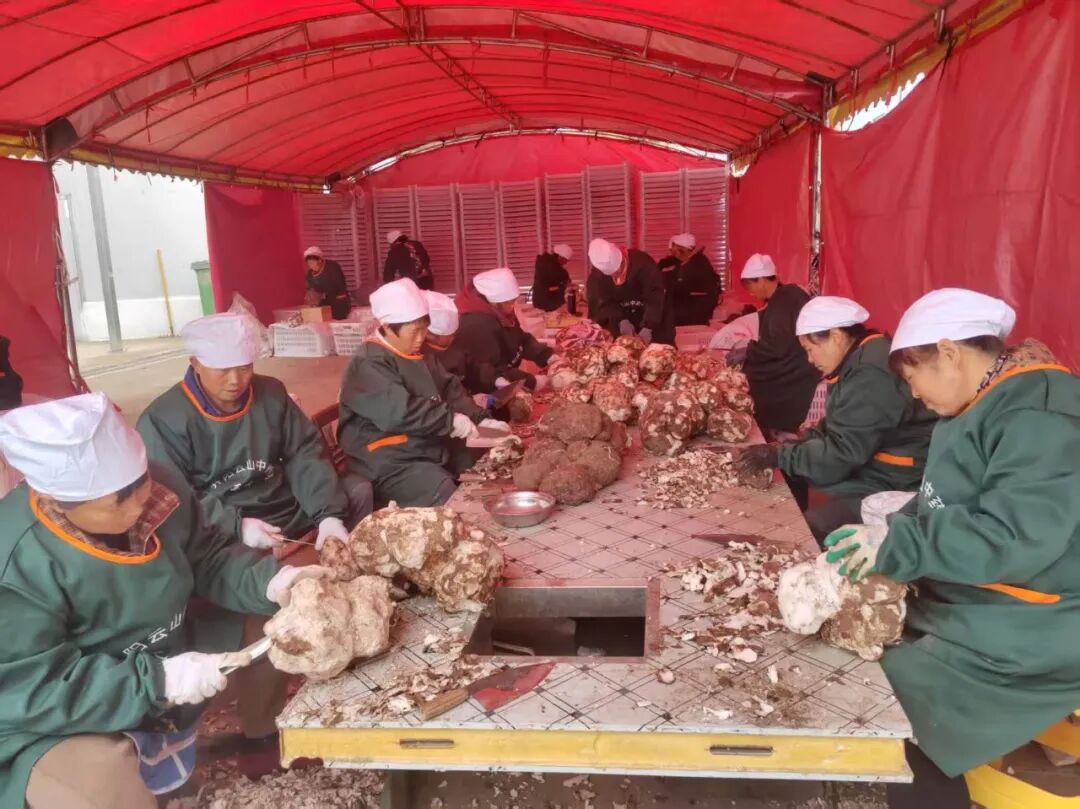 圖為:中藥才生產車間