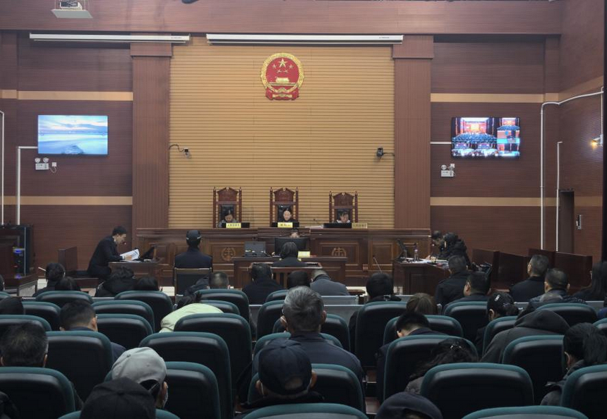 憲” 在行動 與法同行。