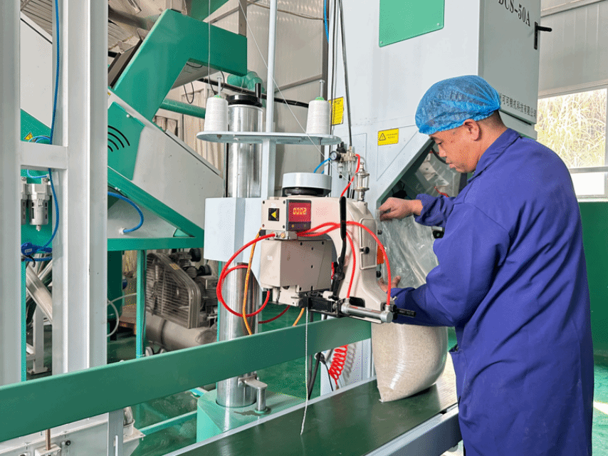 圖為:毛栗莊村大米加工廠車間