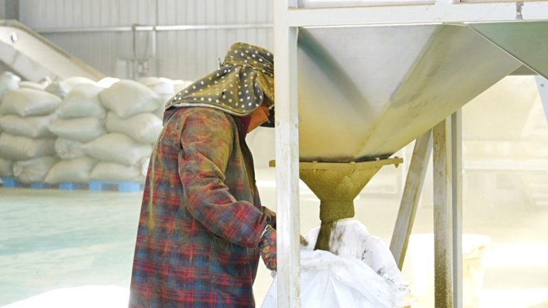 東西部協作賦能 西秀區雞場鄉茶產業煥新顏。