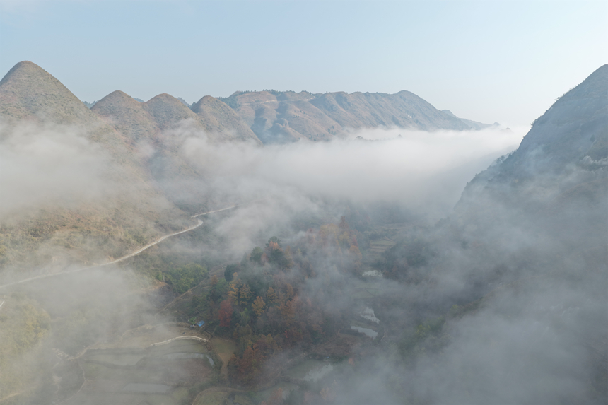 云霧中的金鐘山。張大美攝