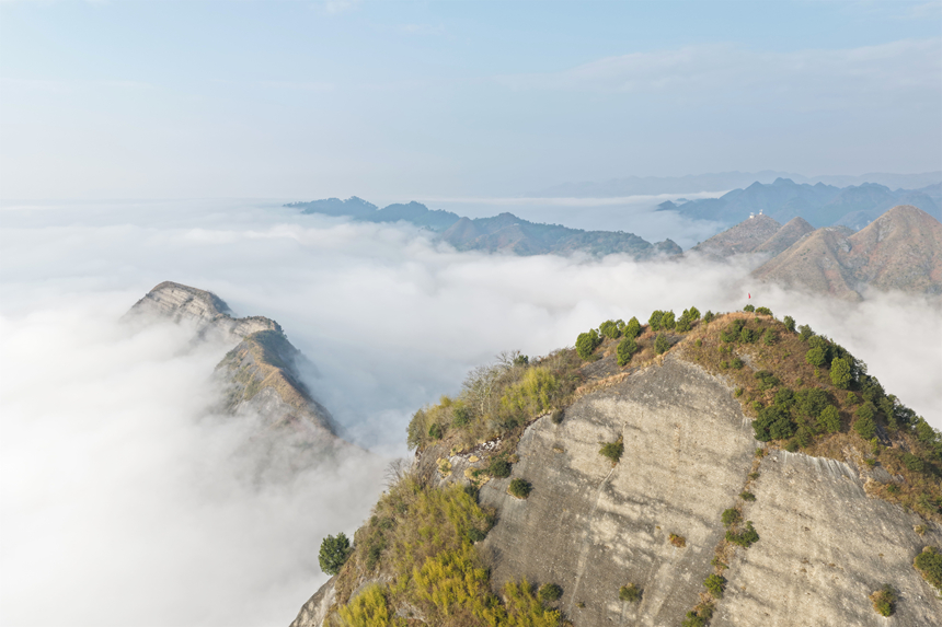 云霧中的金鐘山。張大美攝