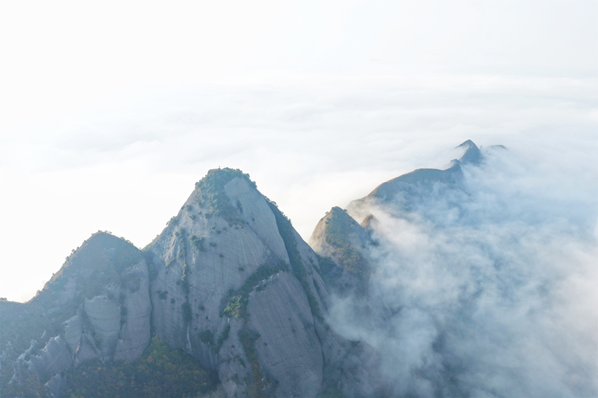 云霧中的金鐘山 張大美 攝 4