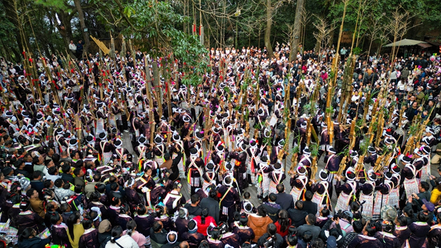 岜沙苗寨蘆笙節(jié)。