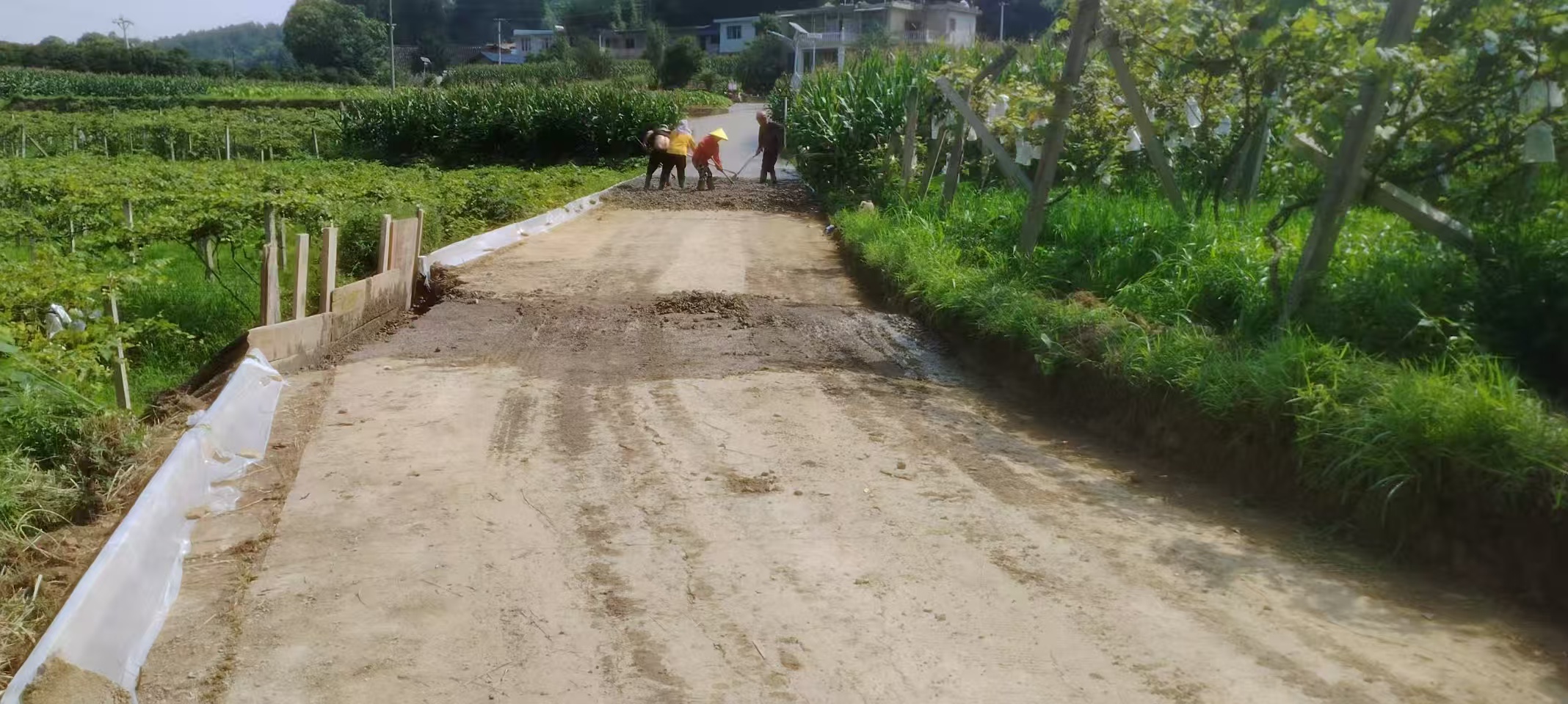 圖為:工人在給原本泥濘的路施工