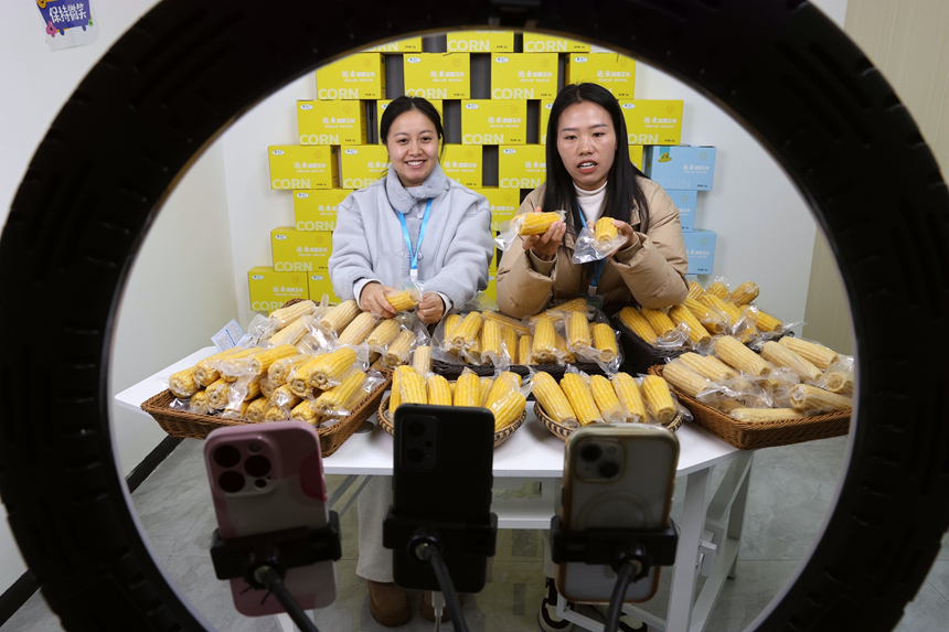 在貴州省黔東南苗族侗族自治州施秉縣一家農產品直播間，主播在直播推銷玉米。