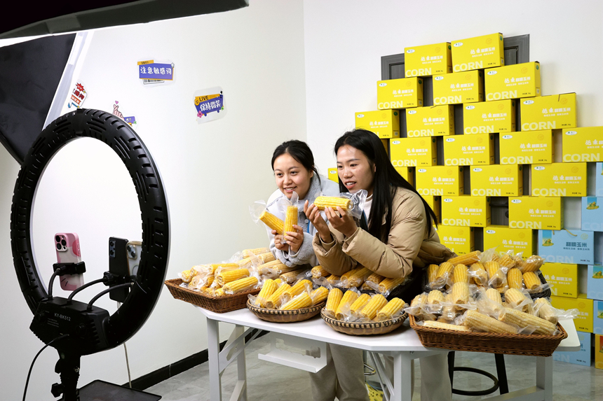 在貴州省黔東南苗族侗族自治州施秉縣一家農產品直播間，主播在直播推銷玉米。