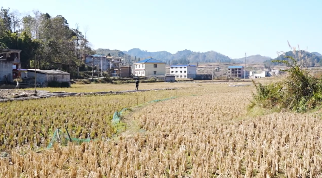 東西部協(xié)作資金澆灌“希望渠”。