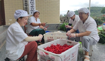 百宜辣椒：特色產業(yè)促農增收振興鄉(xiāng)村依托百宜辣椒獲得中國國家地理標志證明商標，該鎮(zhèn)黨委政府積極引導廣大村民擴大百宜辣椒種植，全鎮(zhèn)種植面積達7000多畝，年產量180多萬斤，主要以制作糟辣椒和干辣椒進行銷售……